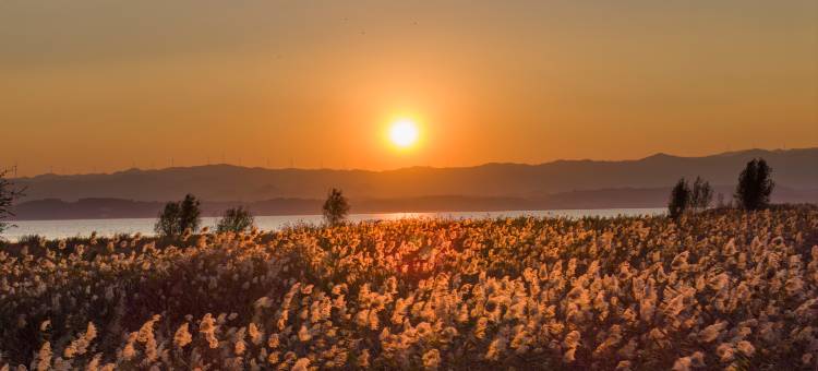 威宁蓝湾酒店(草海北坡生态公园会展中心店)图片