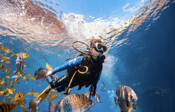 万宁青鸟逸筑 Blue Bird·无边泳池 ins 风设计师海墅(日月湾店)图片