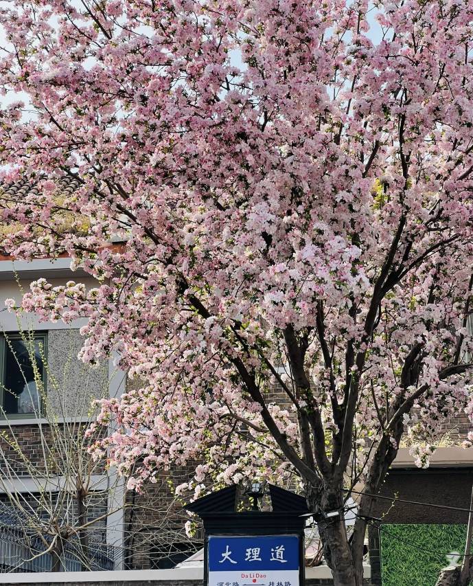 全季酒店(天津五大道店)图片