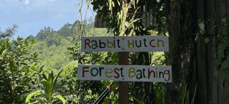 卡西萨扬山度假村(Kasih Sayang Hill Resort)图片