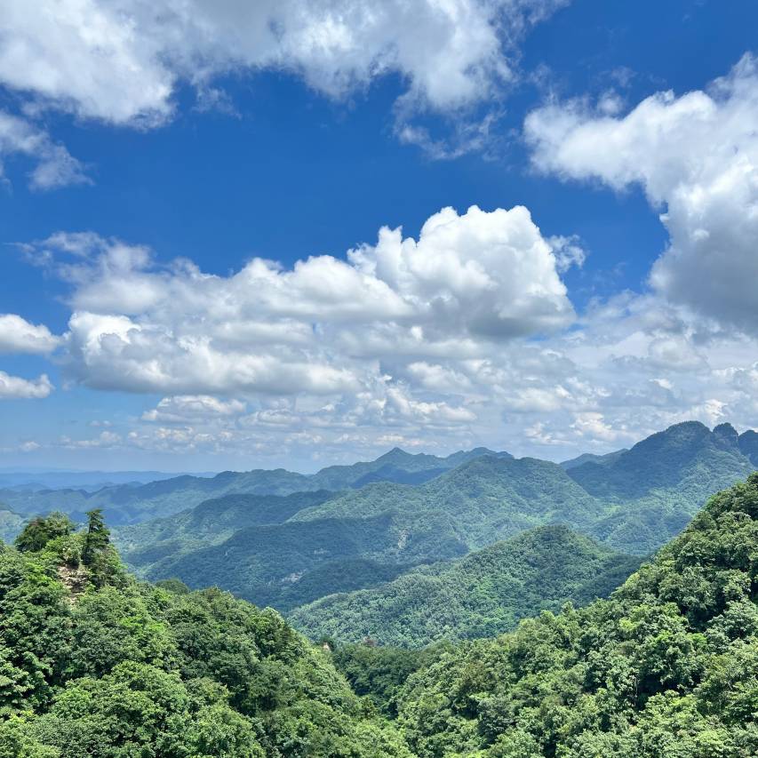 武当山太和紫隐酒店图片
