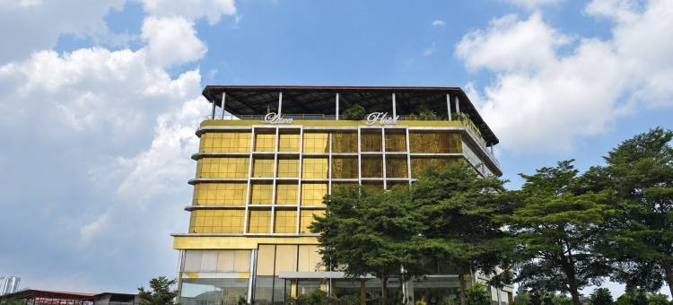 蕾丝精品酒店(Sunday- Johor Bahru Near Mid Valley Southkey Formally Lace Boutique)图片
