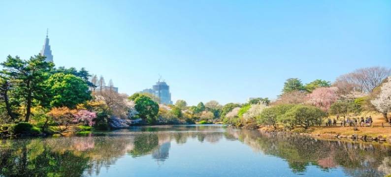 东横INN-池袋北口1号(Toyoko Inn Tokyo Ikebukuro Kita-guchi No.1)图片