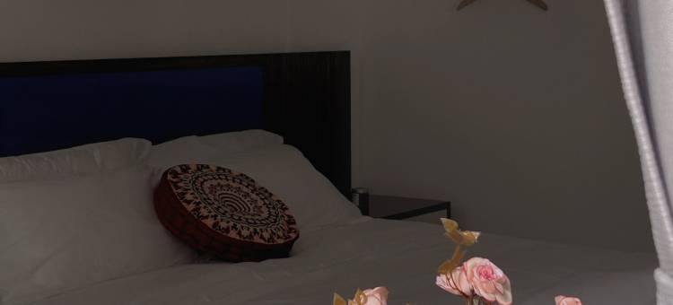 你情我愿客栈(土城路店)图片