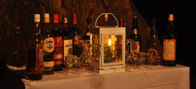 亚拉大型游戏酒店-生态团队(Big Game - Yala By Eco Team)图片