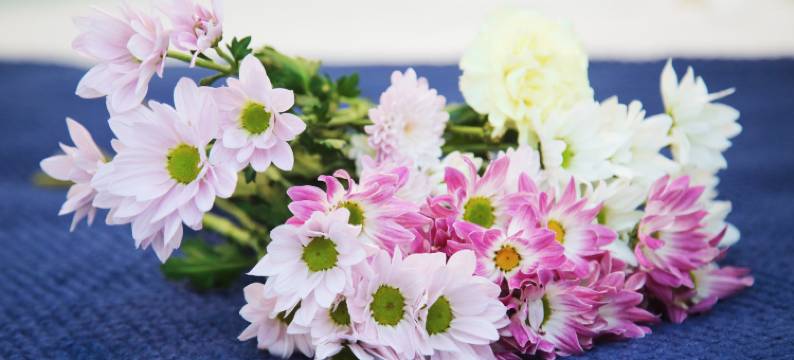 零距离海景民宿(火炬八街店)图片