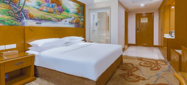 维也纳酒店(东莞塘厦高铁南站店)图片