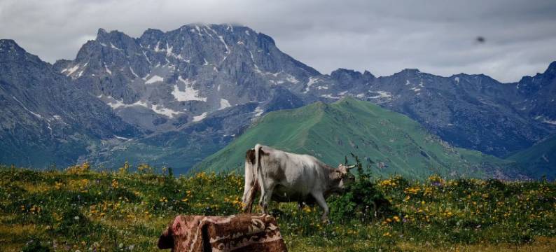 林云山居民宿图片