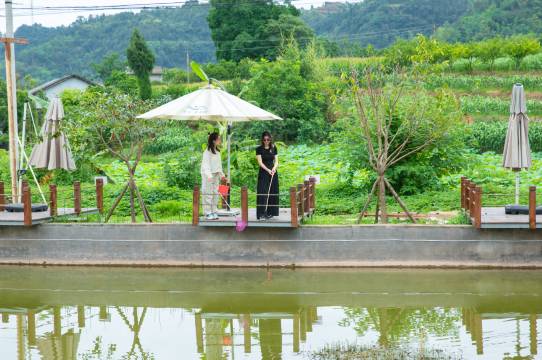 李庄安石半丘塘民宿图片