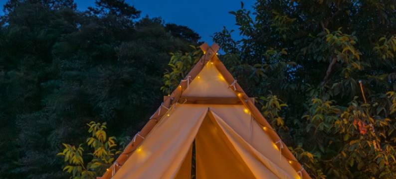 天津姥姥家的小院民宿图片