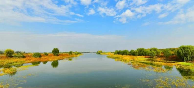 鸿运尚品酒店(磁窑经济开发区禹王街店)图片