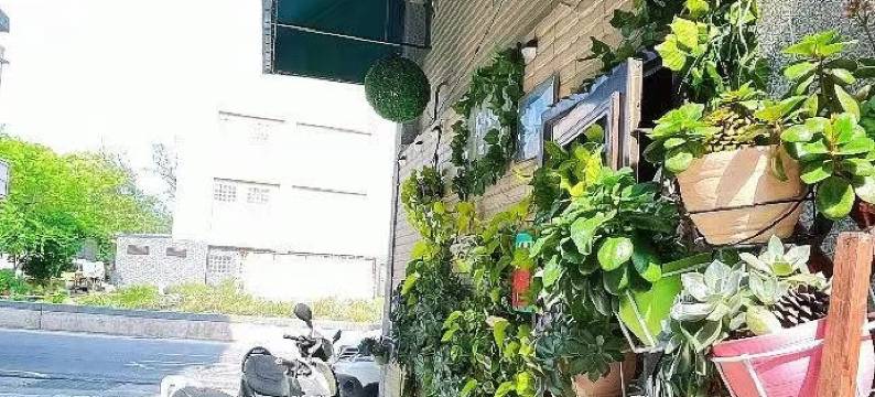 亲爱的民宿图片