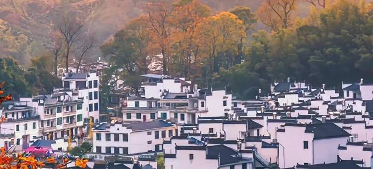 清奢居·Life设计师度假美宿(婺源篁岭景区店)图片