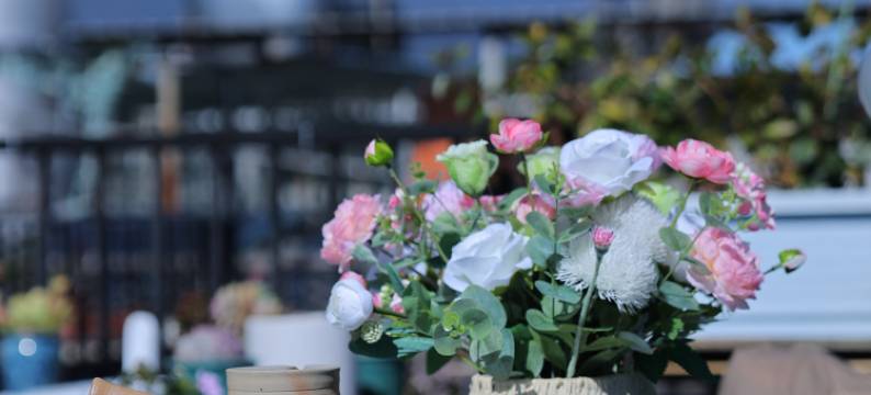 大理鹿湾·月舍民宿(大理古城店)图片