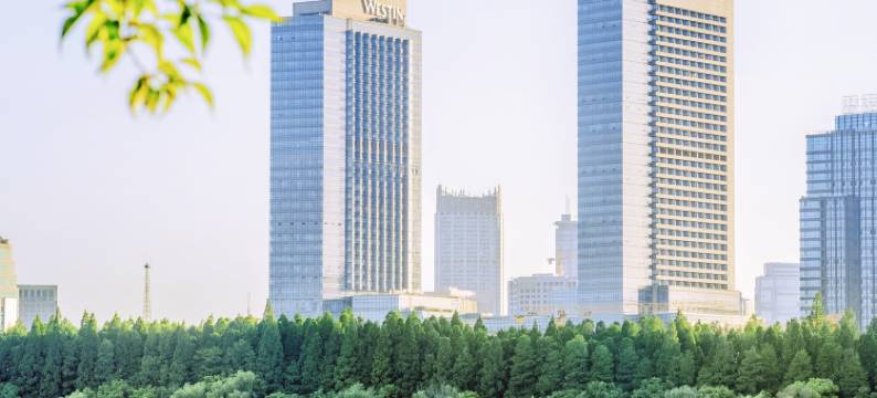 南京金茂威斯汀大酒店图片