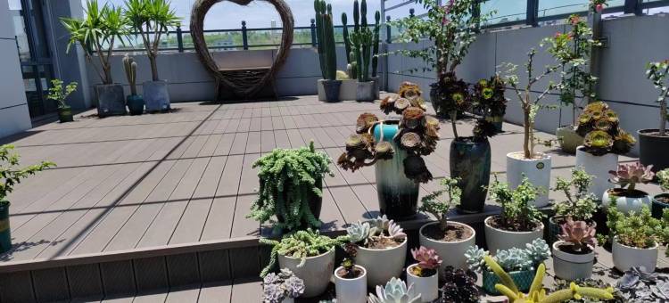 菲尔蓝酒店(师宗店)图片