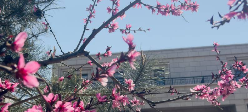 北京观山同创民宿图片