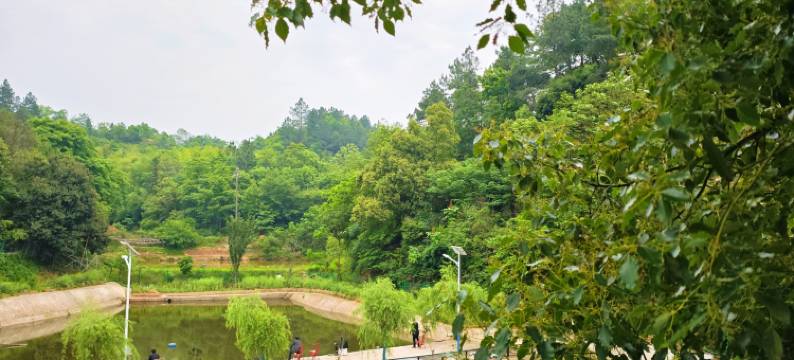 暮云小苑民宿图片