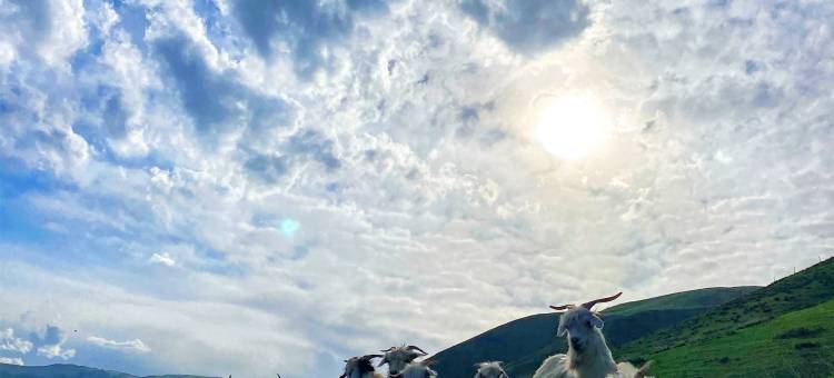 伊曦·小寨丨Natural氧吧民宿(那拉提景区店)图片