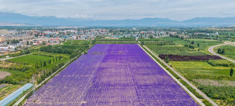 霍城香野里城堡酒店图片