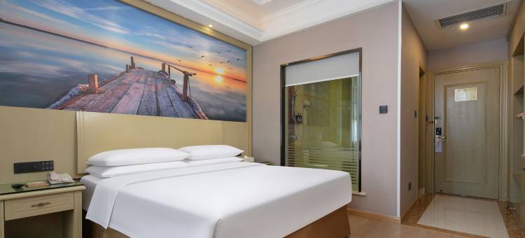 维也纳酒店(常德鼎城店)图片