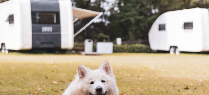 中旅阿那亚九龙湖·A.CAMP房车营地图片