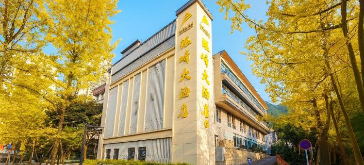 银峰大酒店(兴文县政府店)图片