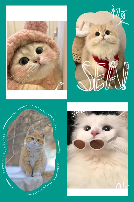 景德镇陶阳里如院天空之城酒店(陶溪川步行街店)图片