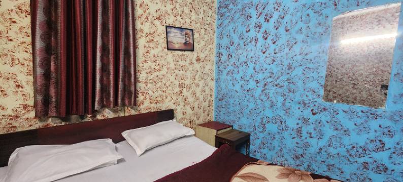 萨瓦加特宫酒店(Hotel Swagat Palace@Karol Bagh)图片