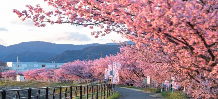烧津龟之井酒店(Kamenoi Hotel Yaizu)图片