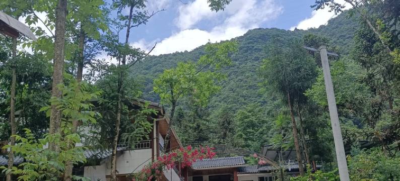 西岭雪山秋雪缘农家乐图片