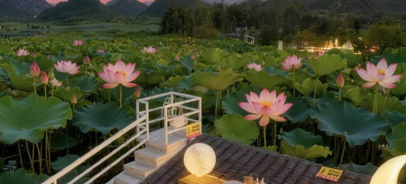 普者黑•非你莫属ONLY•SPACEDESINGN网红湖景民宿(普者黑风景区店)图片