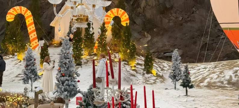 六出花Alstroemeria·拾光伴趣亲子野奢度假美墅(鲁家景区店)图片