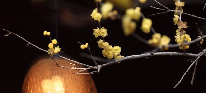 临潮公寓(海宁盐官观潮景区店)图片