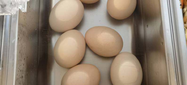 影视青年酒店(上海车峰路店)图片