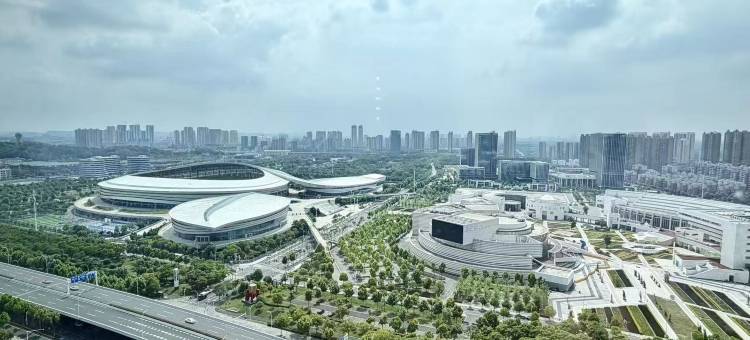武汉临空港温德姆花园酒店(五环体育中心店)图片