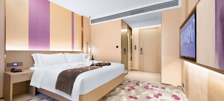 麗枫酒店(襄阳沃尔玛民发广场店)图片