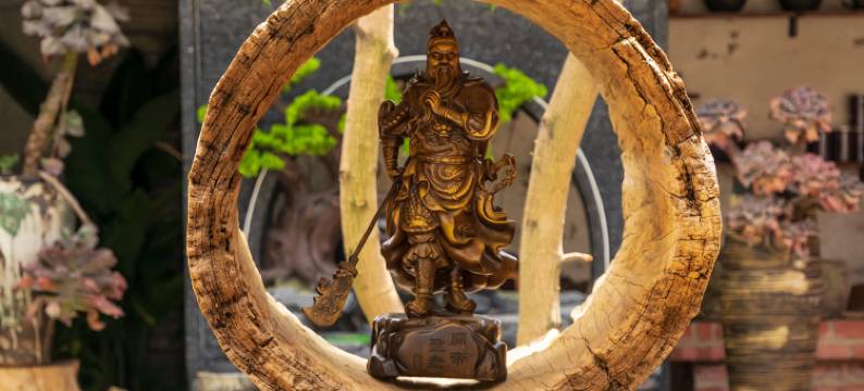 大理晚照小院图片