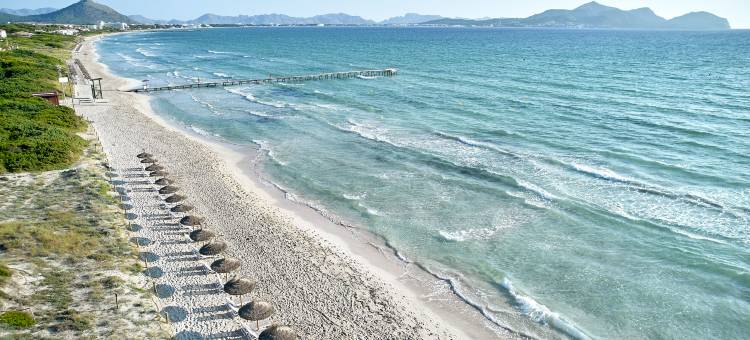 阿尔布费拉公园伊贝罗斯塔精选酒店 - 全包式(Iberostar Selection Albufera Park All Inclusive)图片