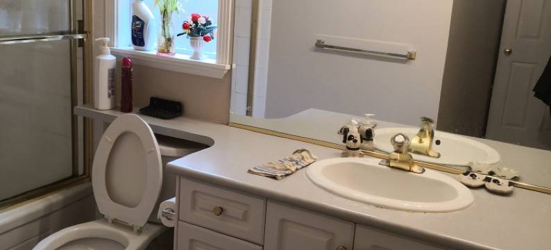温哥华机场旅馆(Vancouver Airport Inn)图片
