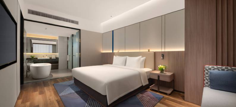 智选假日酒店(南京东方万汇城青奥体育公园店)图片