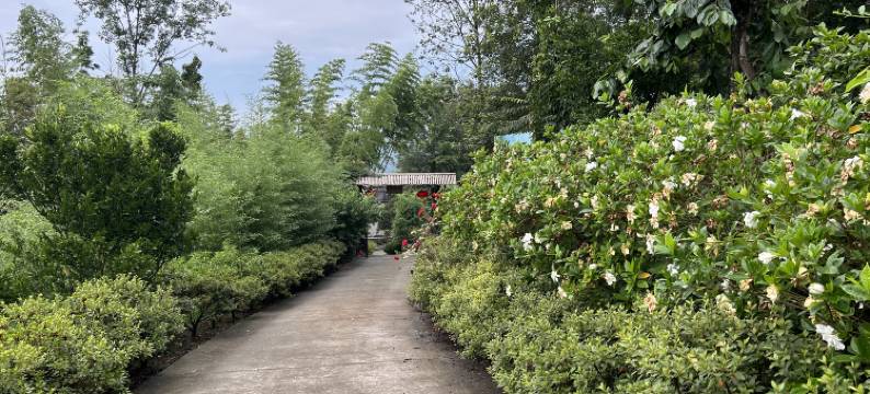 汉岚青民宿(瀛湖店)图片