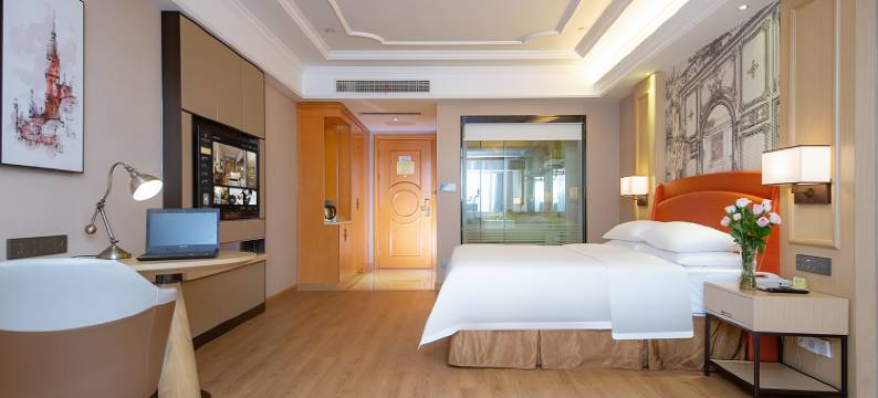 维也纳国际酒店(长沙红星德思勤广场店)图片