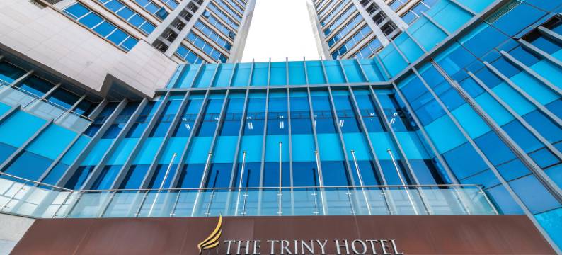 龙仁特里尼城市套房酒店(The Triny Urban Suites)图片
