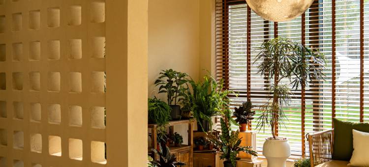 南山竹海禧乐酒店(天目湖御水温泉店)图片