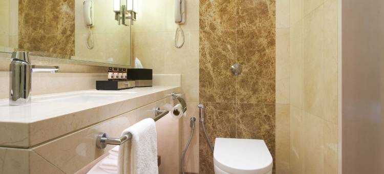 新加坡小印度假日酒店 - IHG 旗下酒店(Holiday Inn Singapore Little India)图片