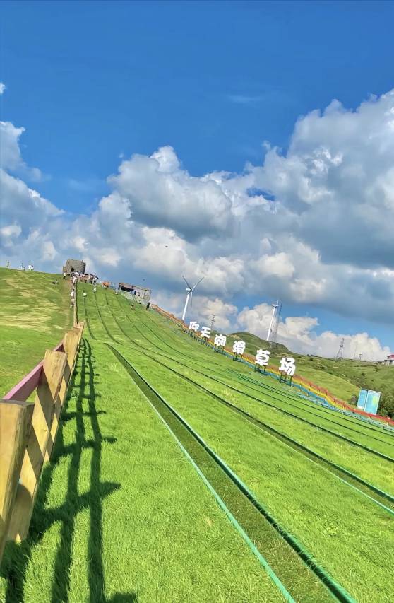 云来半山民宿(仰天湖大草原景区店)图片