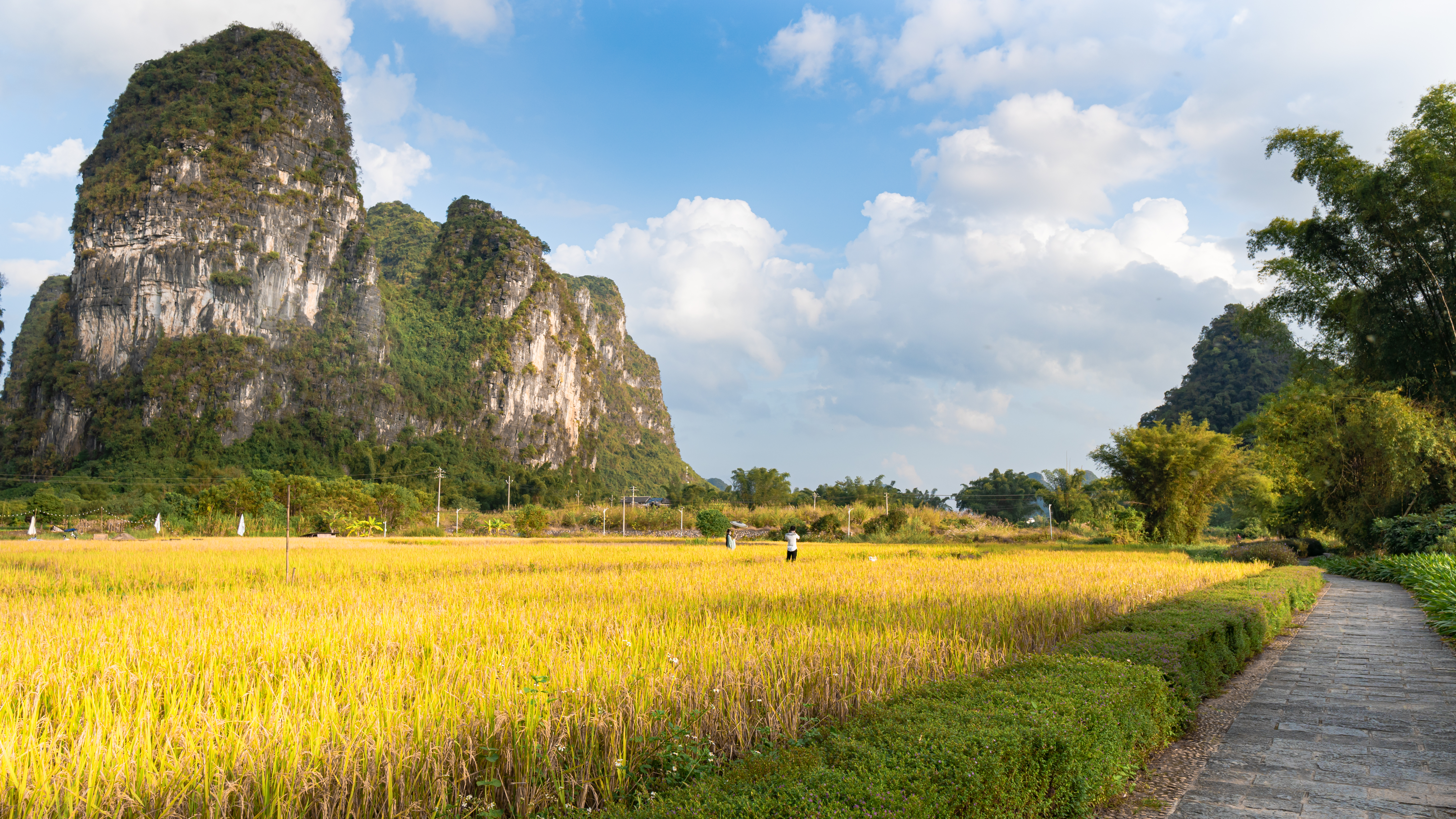 Yuetian Life Hotel (Yangshuo Shili Gallery Yulong River Branch) Over view