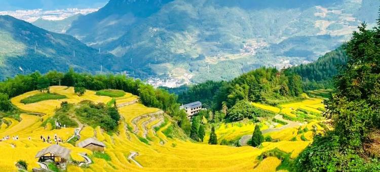 云和梯田云之梦客栈(七 星墩观景台店)图片