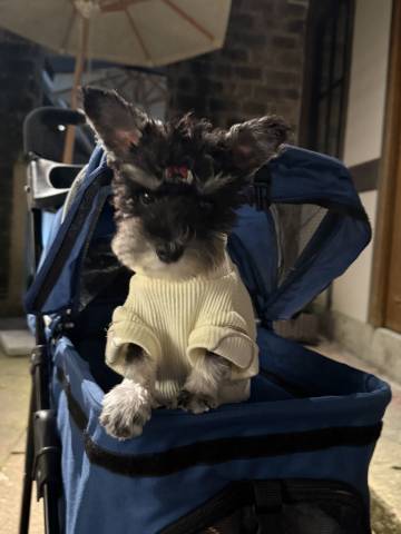 大乐之野(宁波慈城店)图片